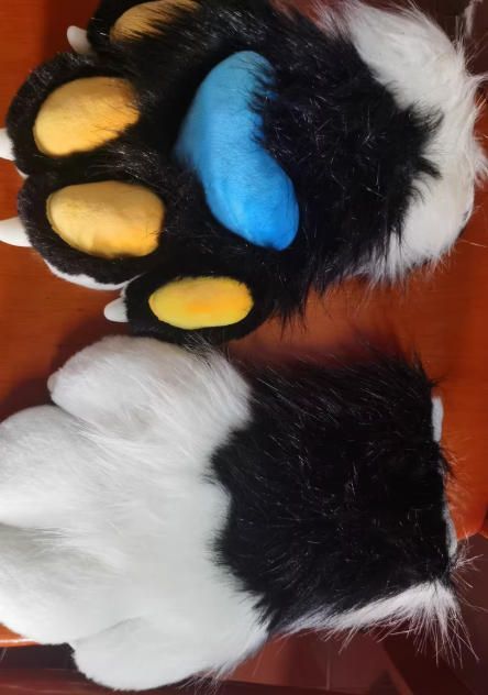 ファースーツ 着ぐるみセット NO 284 犬 ブラック 青 ケモノ 全頭ヘッド ぬいぐるみ コスプレ コスチューム