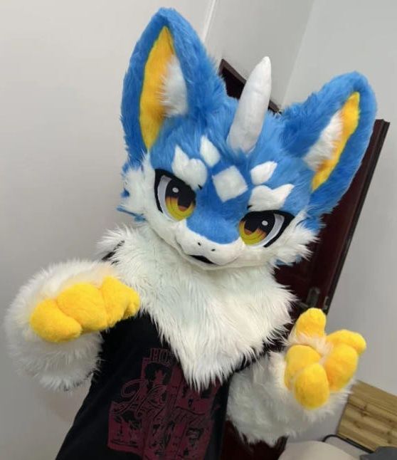 ファースーツ 着ぐるみセット NO 286 犬 青 ブルー ケモノ 全頭ヘッド ぬいぐるみ コスプレ コスチューム