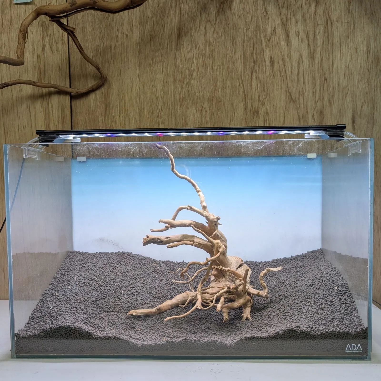 30211 ブランチウッド　流木　アクアリウム　沈水確認済 61103 ブランチウッド 流木 アクアリウム 沈水確認済 - メルカリ