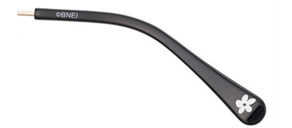 ｶﾞｸｴﾝｱｲﾄﾞﾙﾏｽﾀｰ