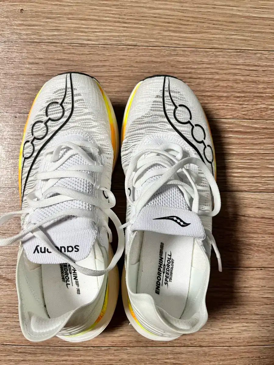 サッカニー エンドルフィン エリート2