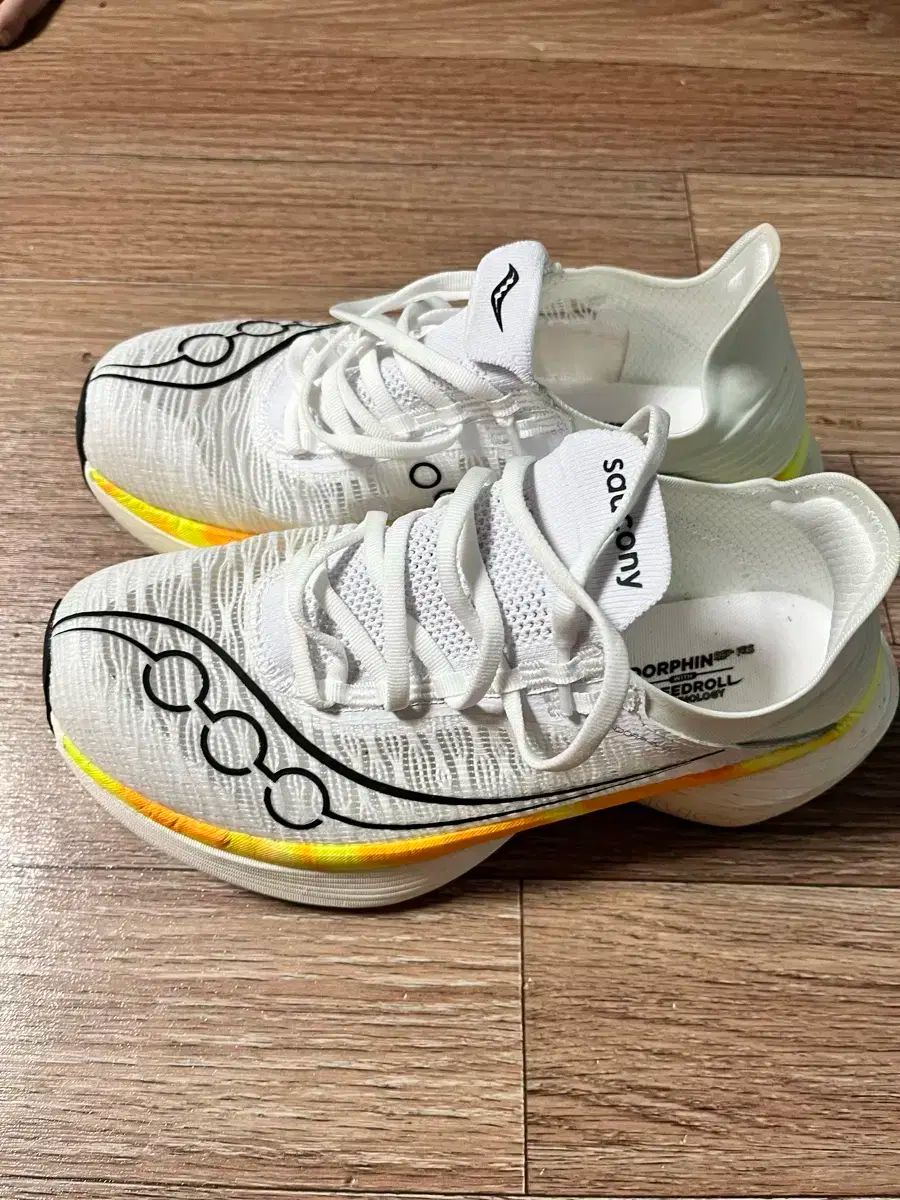 サッカニー エンドルフィン エリート2