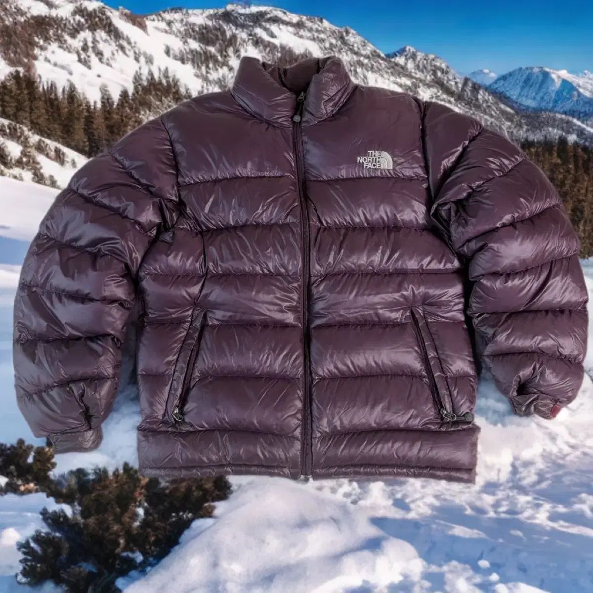 ザノースフェイス パーテックス クイーンタム マルーン 超軽量ダウン グースダウン