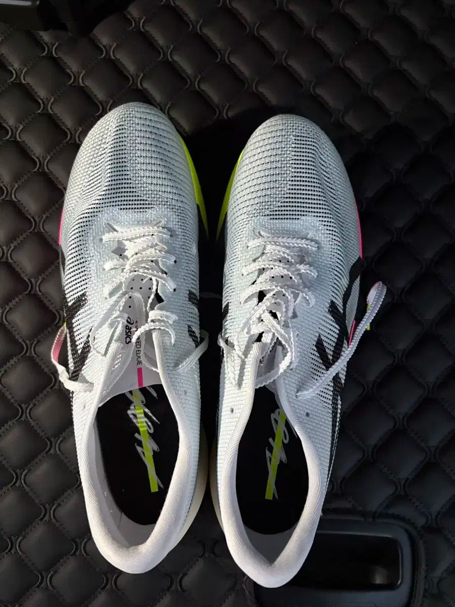 アシックス メタスピード スカイ パリ 285