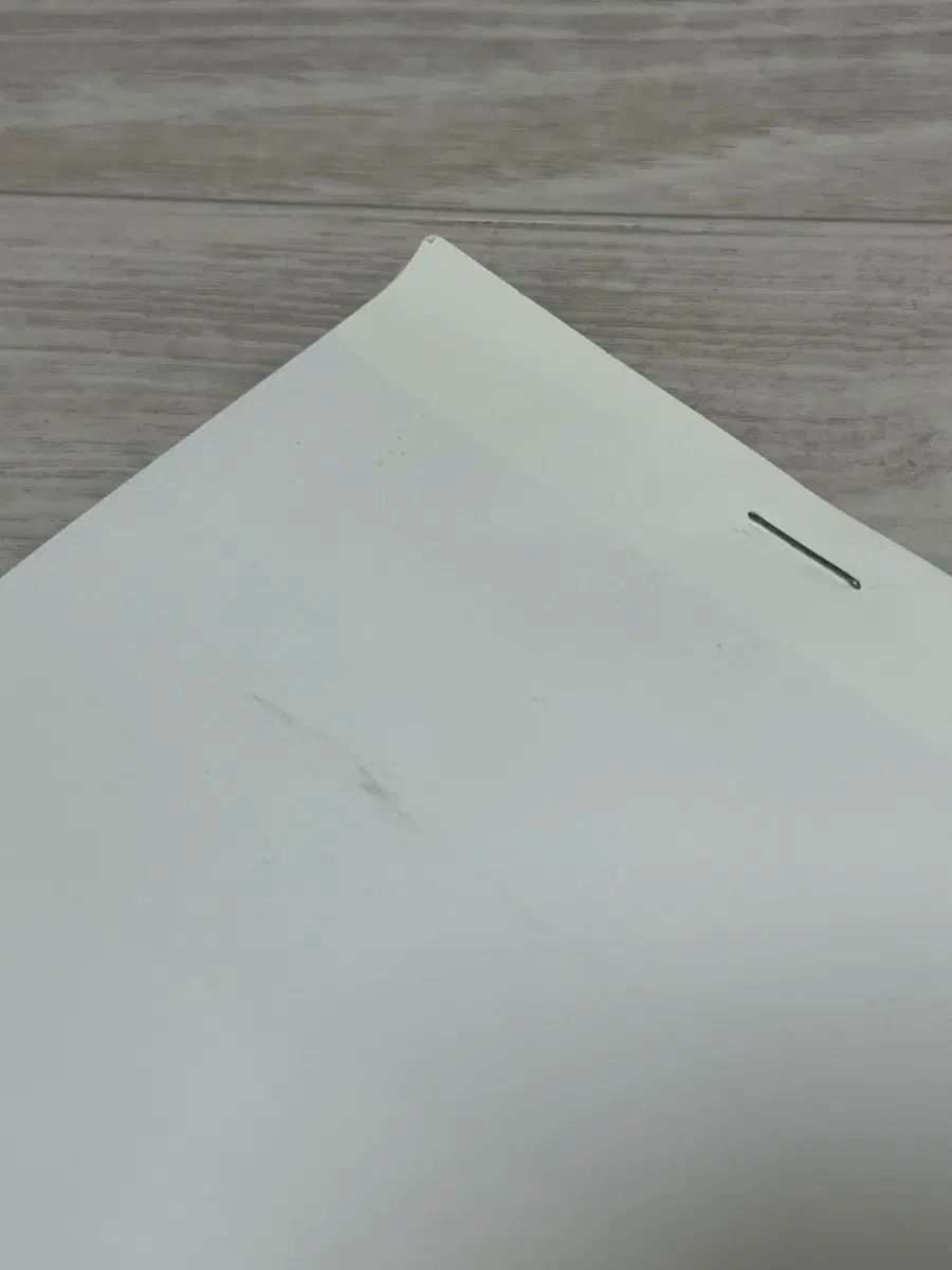 オーラリー auralee 19 ss ルックブック カタログ