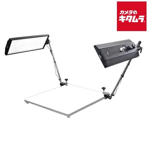 LPL デジタルデータライト DL-1000 L18286 納期約3 4週間