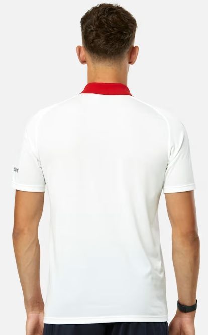 ラグビー マンスター