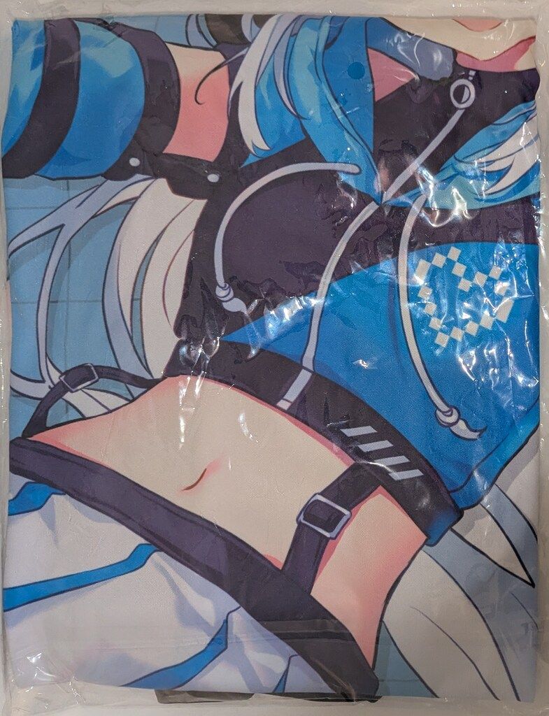 カバー hololive GAMERS fes 超超超超ゲーマーズ ホロライブ 白上フブキ 法被