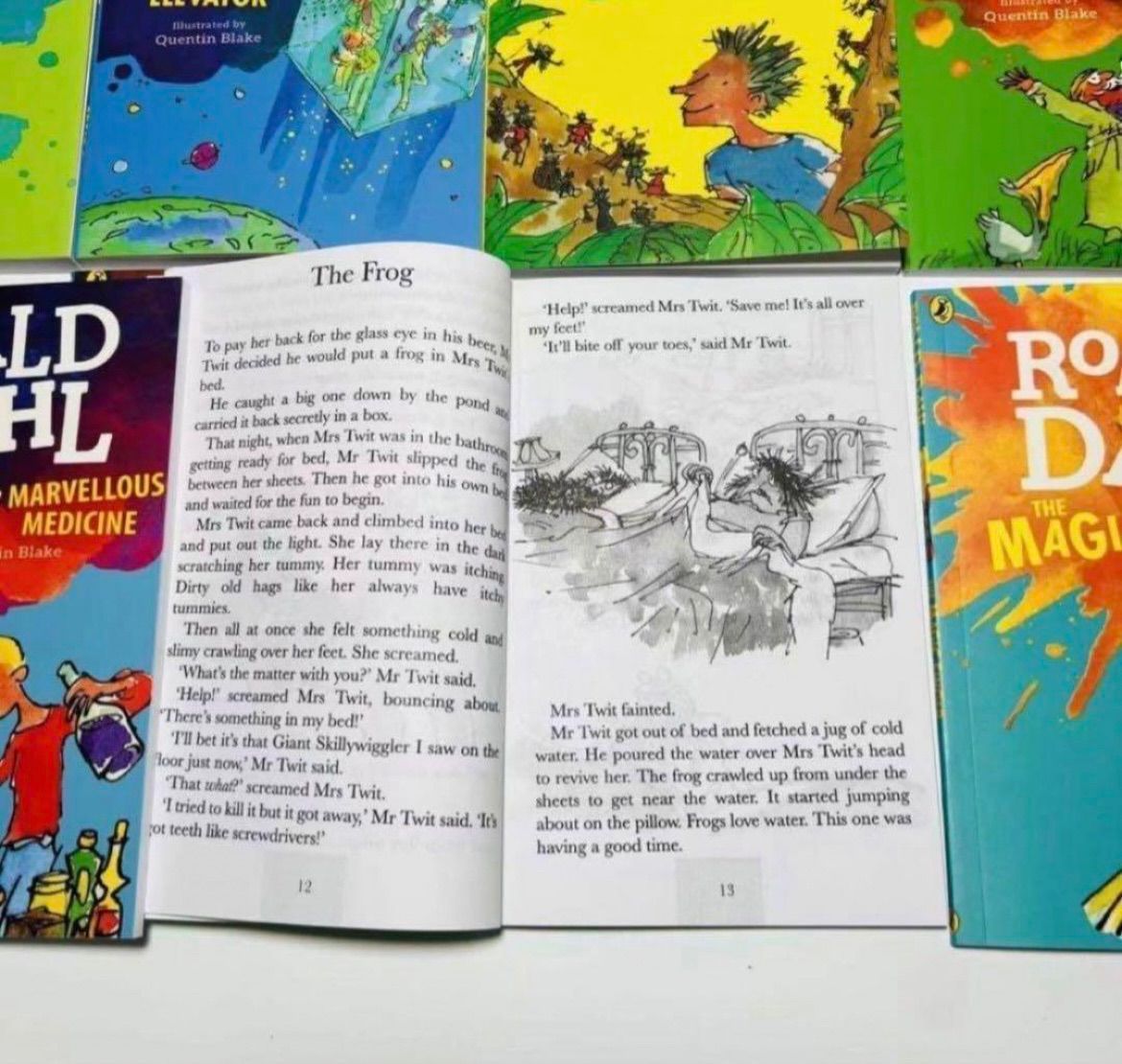 新品 Roald DAHL collection 20冊 洋書 英語 洋書 sh7 - メルカリ