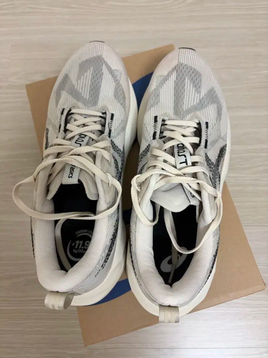 アシックス ノヴァブラスト5 オートミール 275