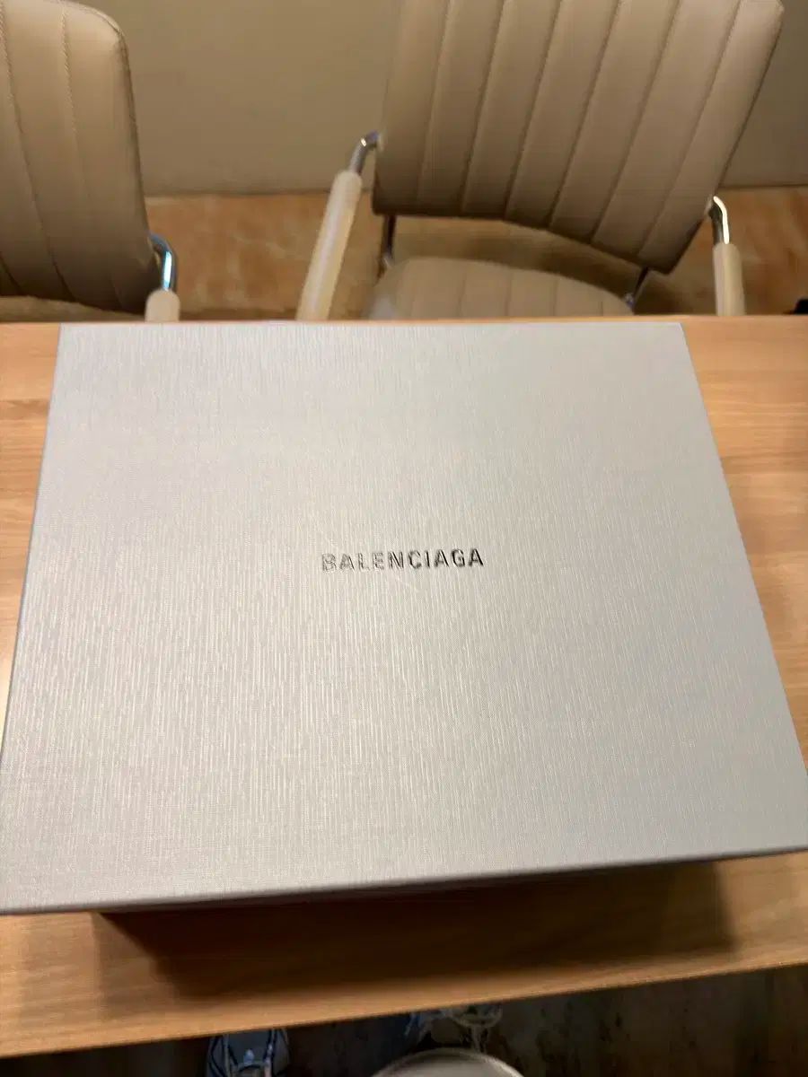 バレンシアガ ステロイド THE B ドビ 44