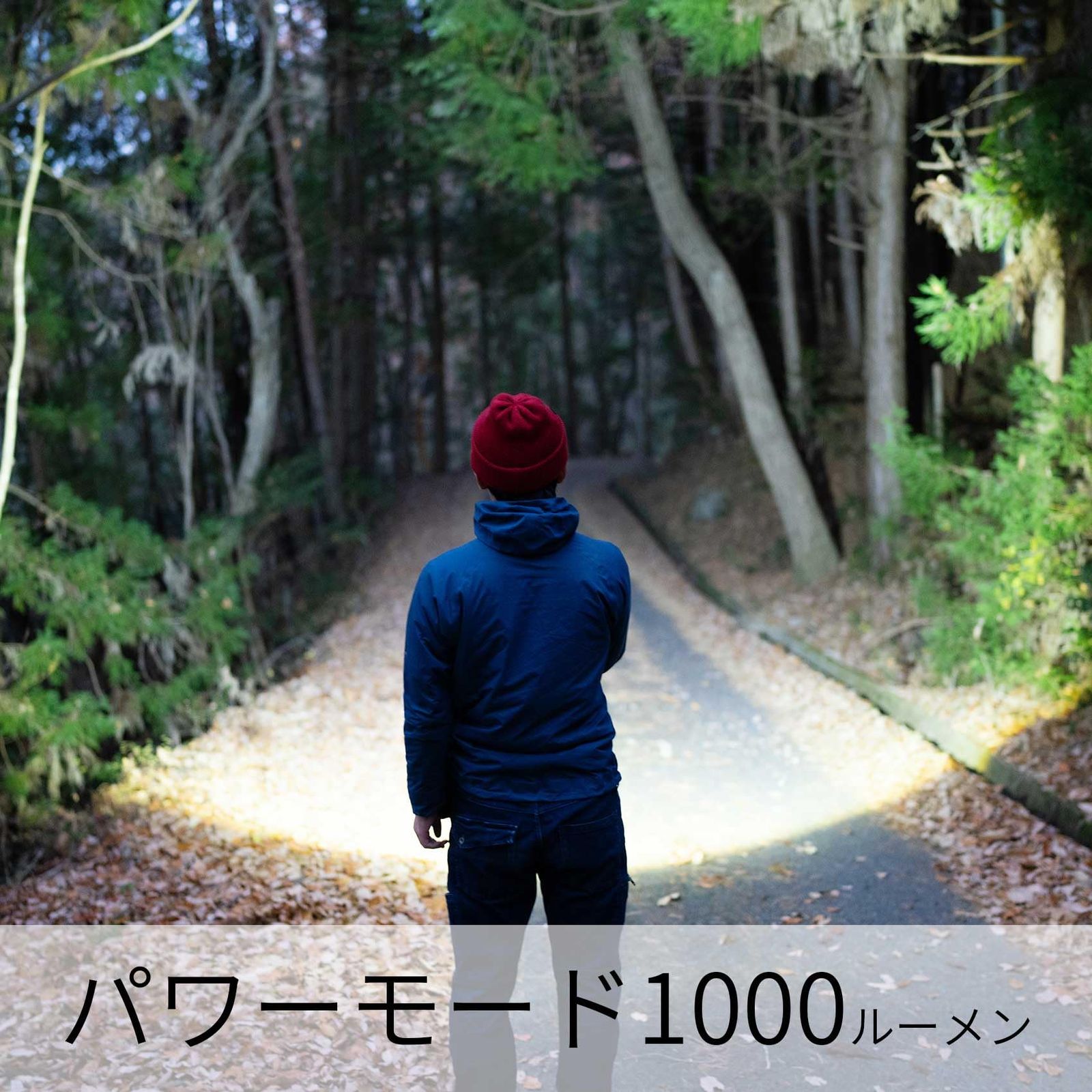 ハンディライト 充電式