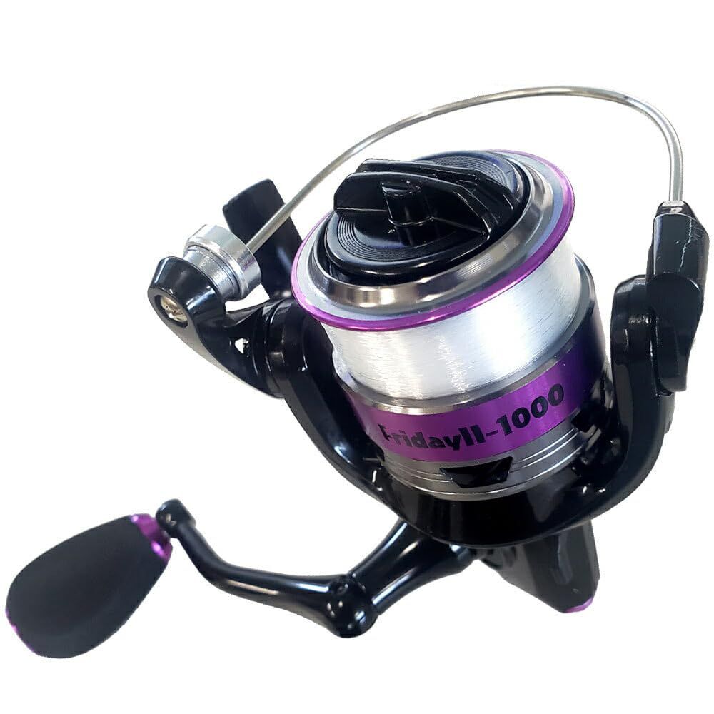 入門 フライデー