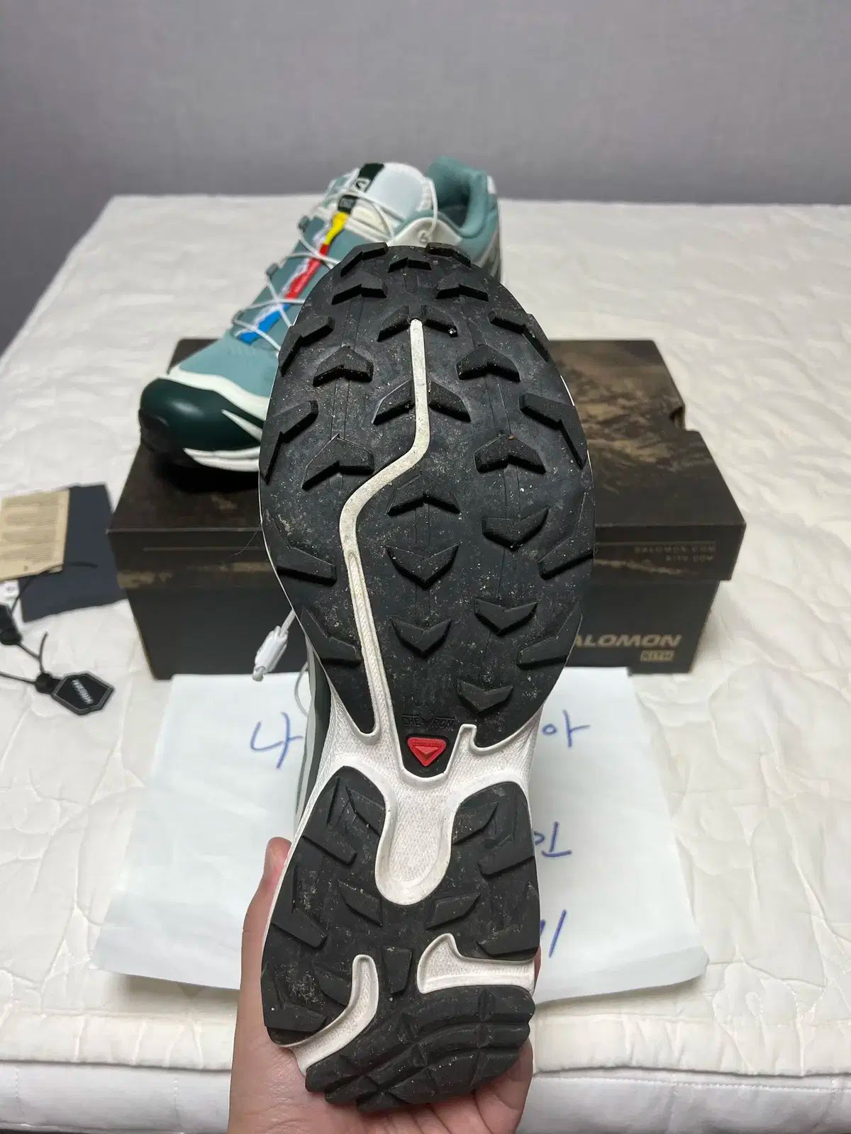 トレイル 폰데로사