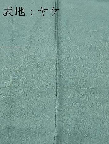 平和屋着物□上質な色無地 草木染 堅牢染 華のやど 港鼠色 反端付き