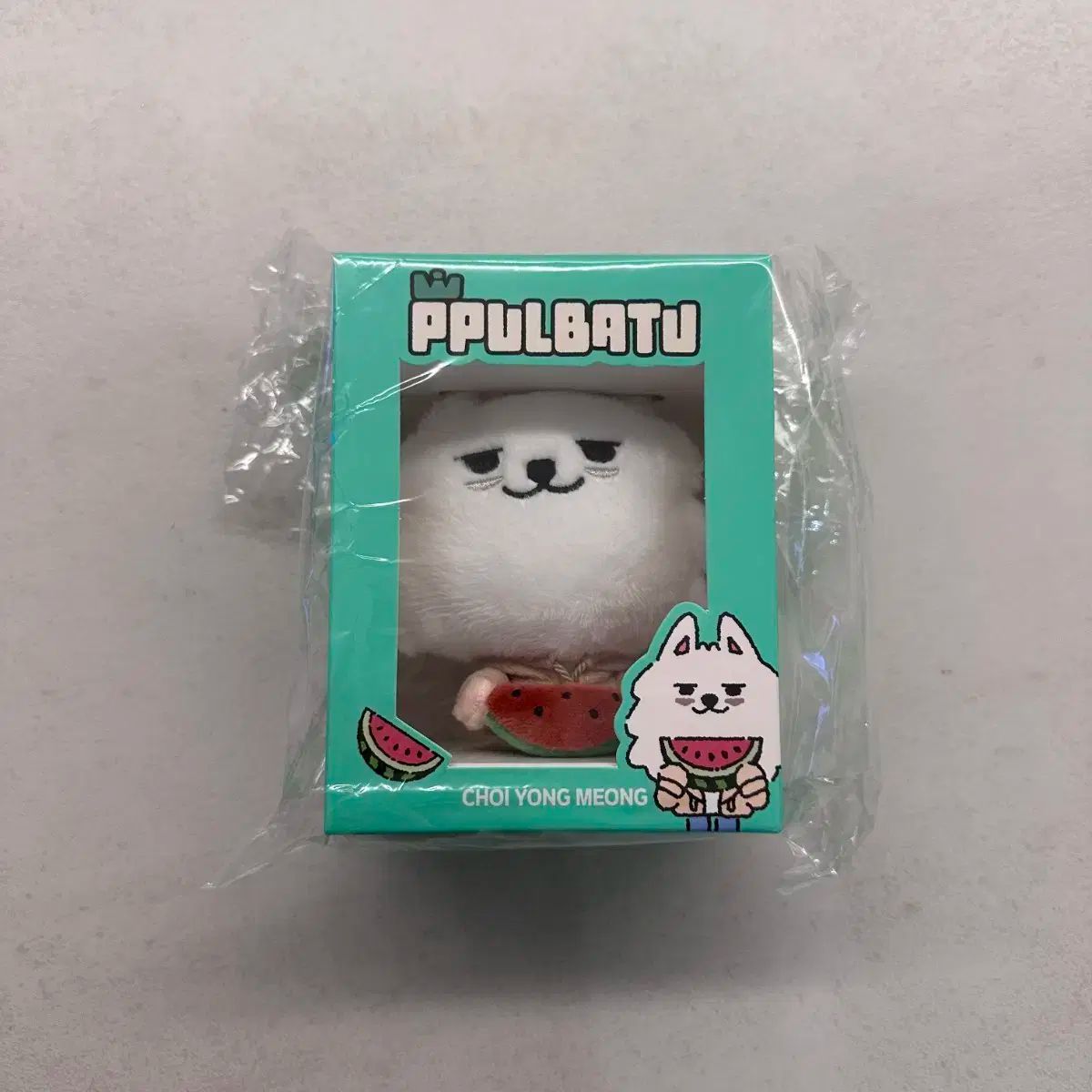 未開封) TOMORROW X TOGETHER(TXT) 用멍이 スビン(CHOI SUBIN・チェスビン) スイカキーホルダー (日本)