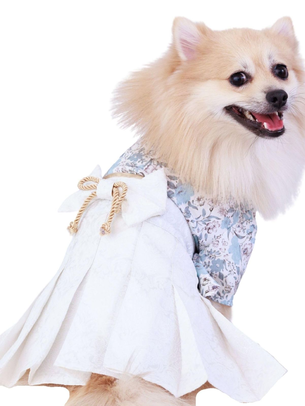 ONEKOSAMA OINUSAMA 犬 着物 ブルーグレー M