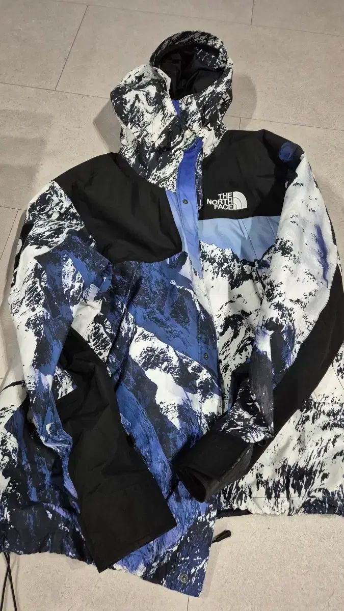 シュプリーム ザノースフェイス 雪山 マウンテン ジャケット xl