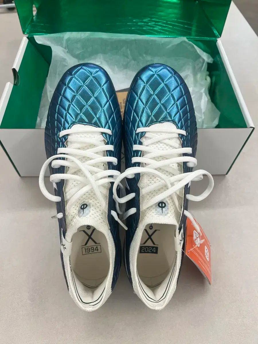 ナイキ ティエンポ レジェンド 10 エリート AG PRO サッカーシューズ 250mm