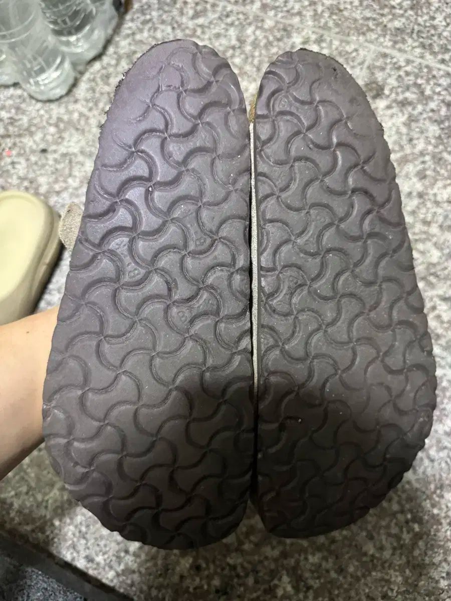 トープ レギュラー