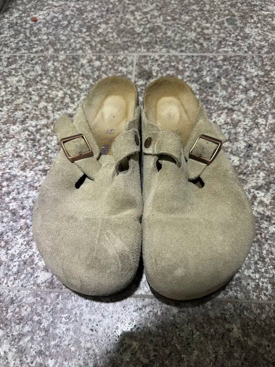 43 ビルケンシュトック ボストン トープ レギュラー