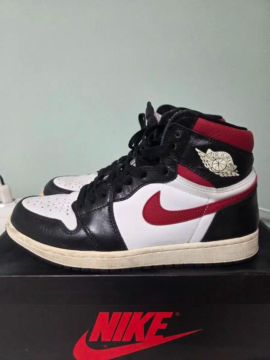 ジョーダン 1