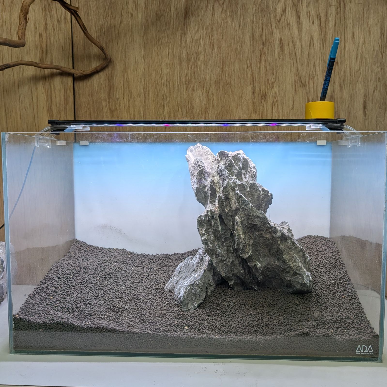 青龍石❀酸処理済み｜40cm｜SO1085402｜親石｜石組レイアウト