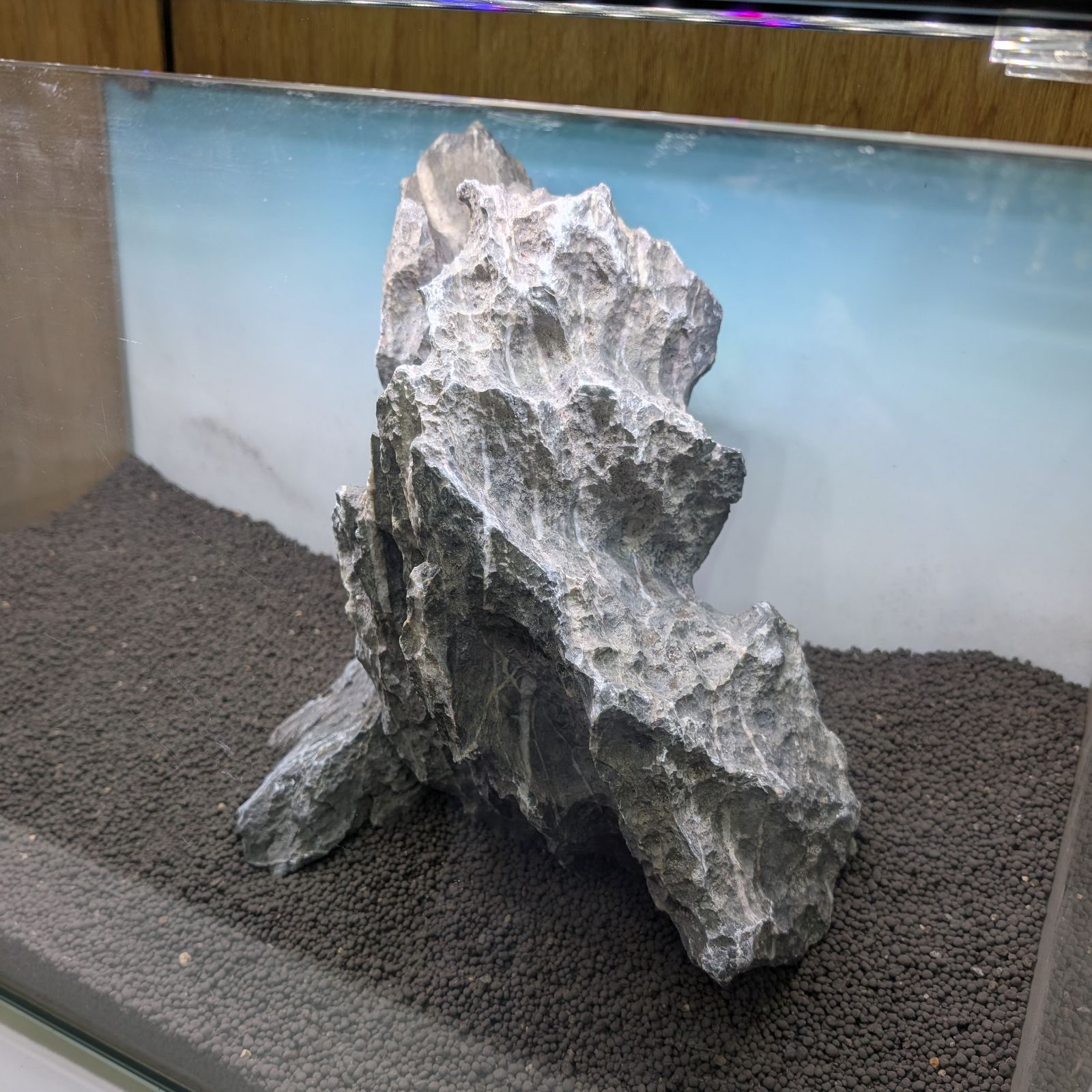 青龍石❀酸処理済み｜40cm｜SO1085402｜親石｜石組レイアウト