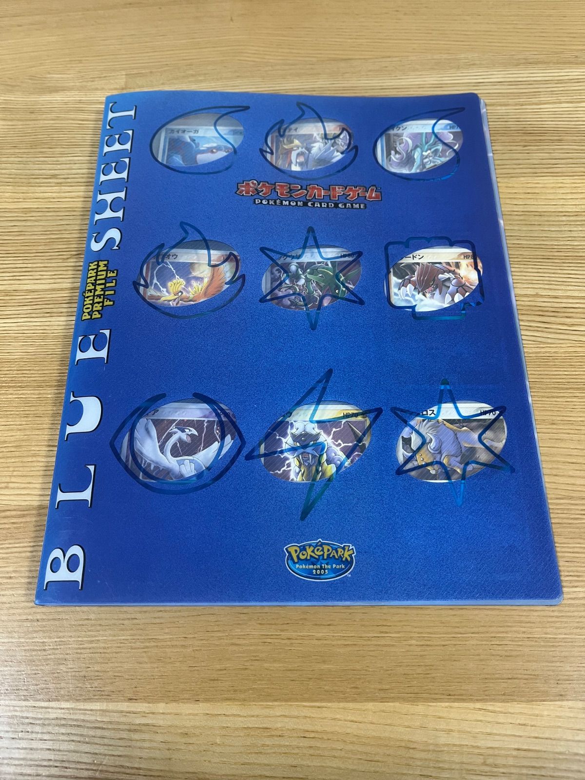 希少】ポケパーク 2005限定 プレミアムファイル 9枚収録 ブルーシート