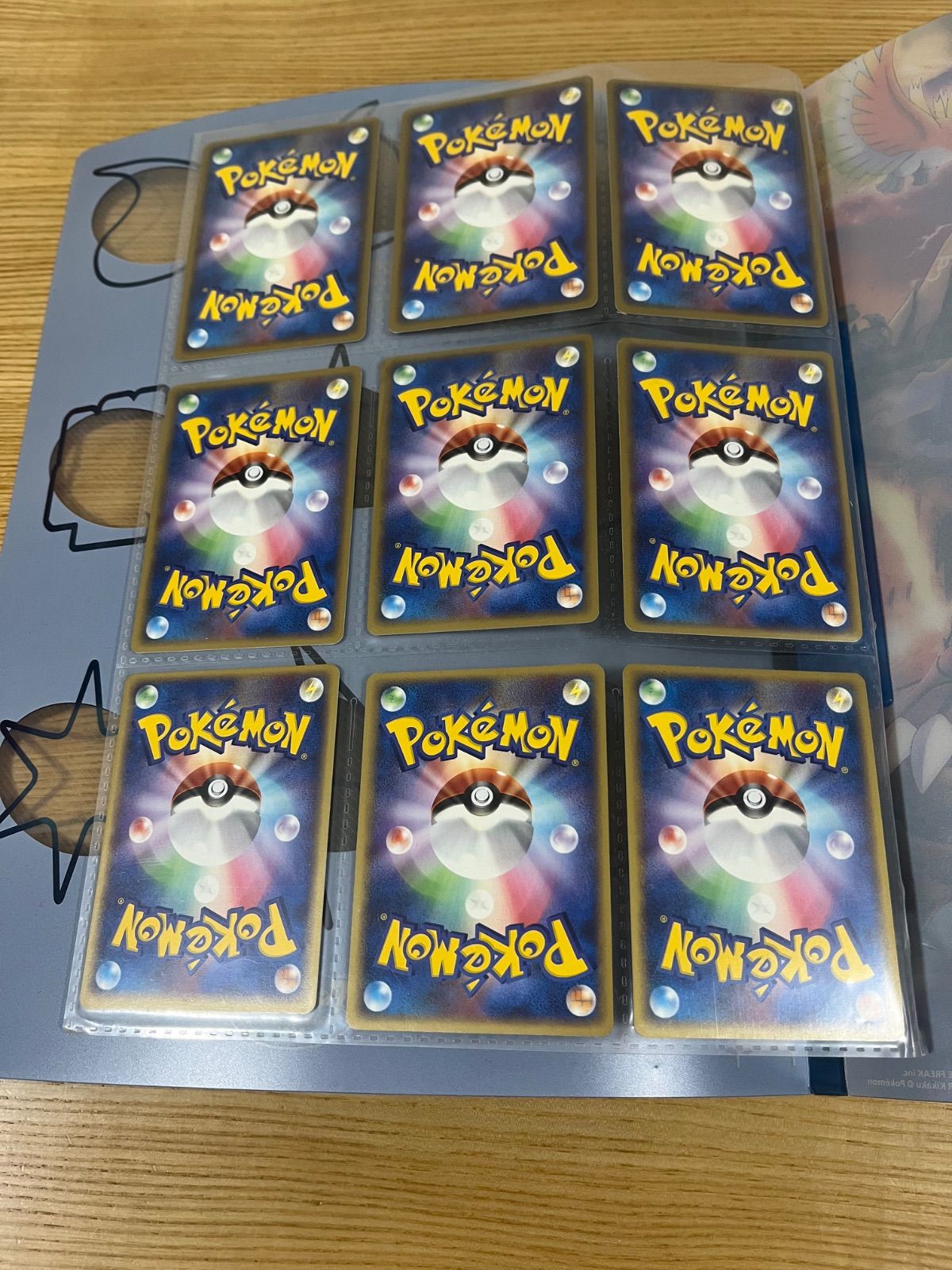 希少】ポケパーク 2005限定 プレミアムファイル 9枚収録 ブルーシート