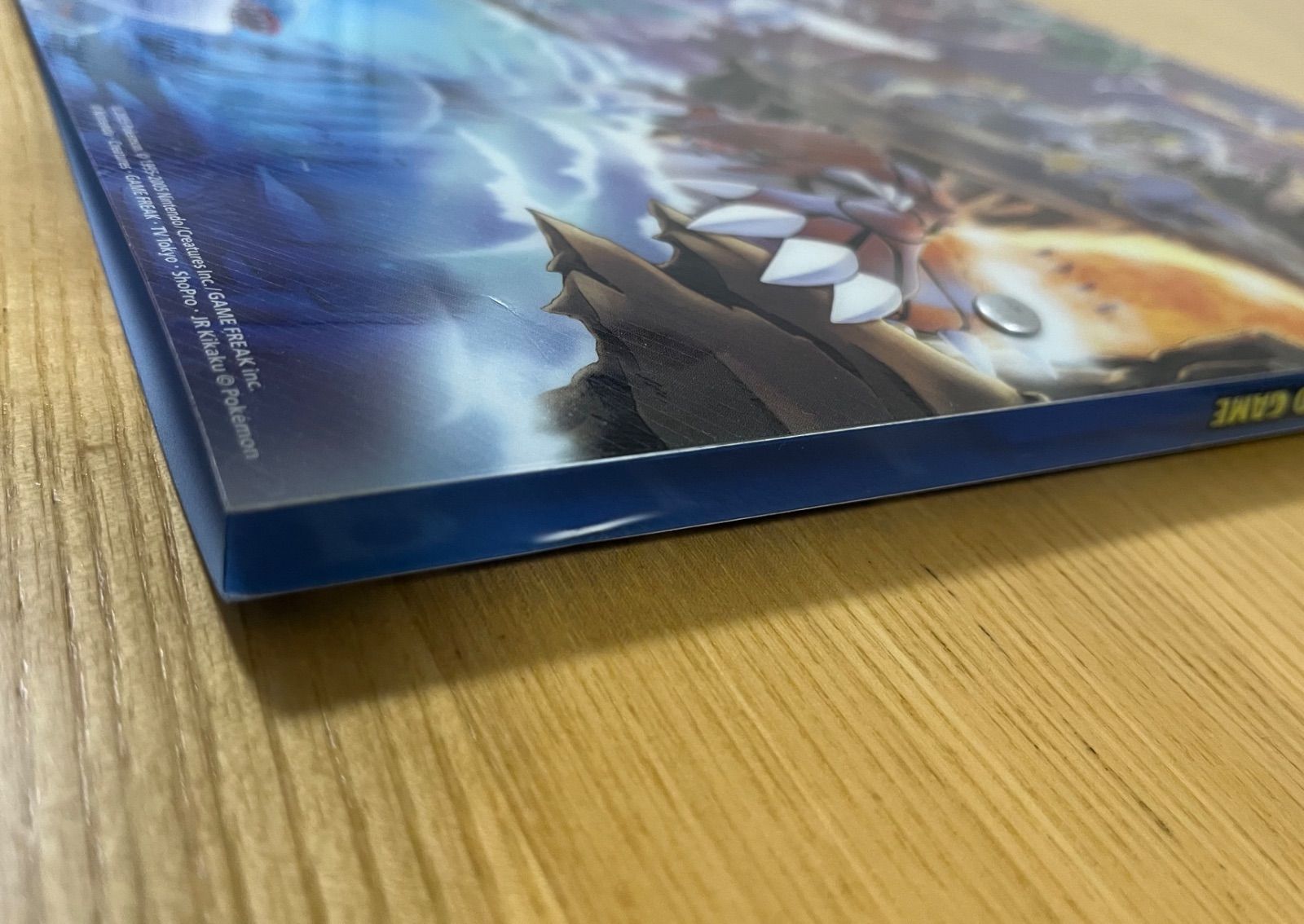 希少】ポケパーク 2005限定 プレミアムファイル 9枚収録 ブルーシート