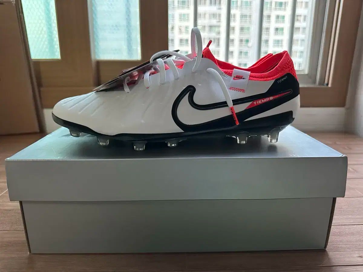 ティエンポ レジェンド10