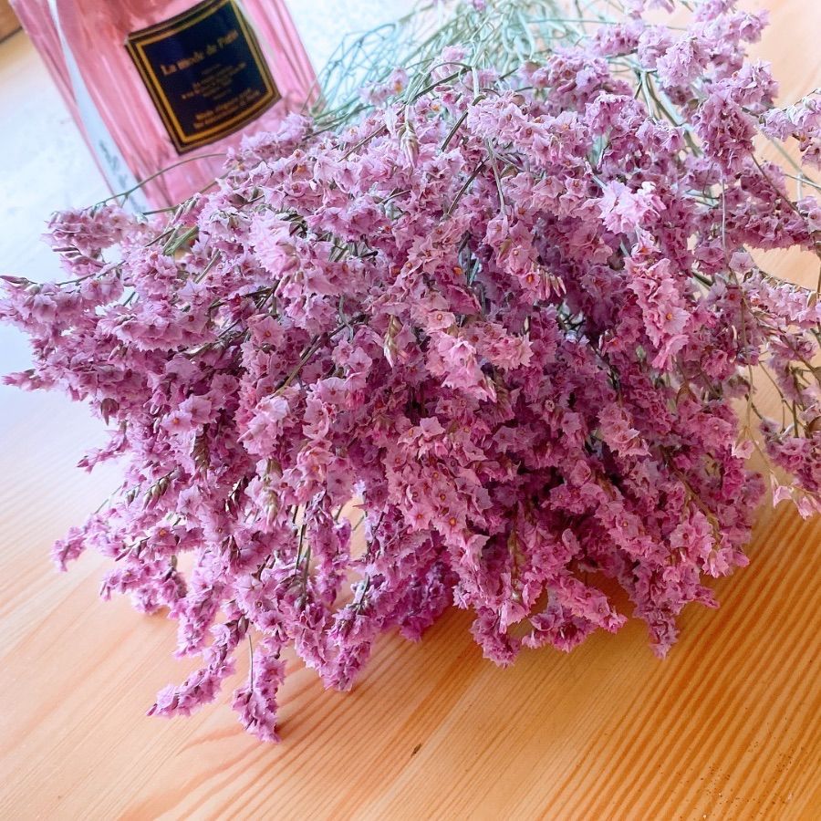 ハイブリッドスターチス❣️マルチーズピンク ハイブリッドスターチス❣️マルチーズピンク - メルカリ