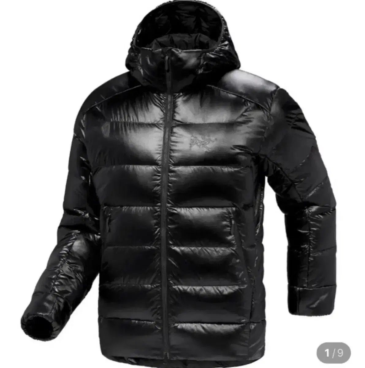 ARC TERYX Cerium アークテリクス セリウム SV ブラック光沢 S 100-105