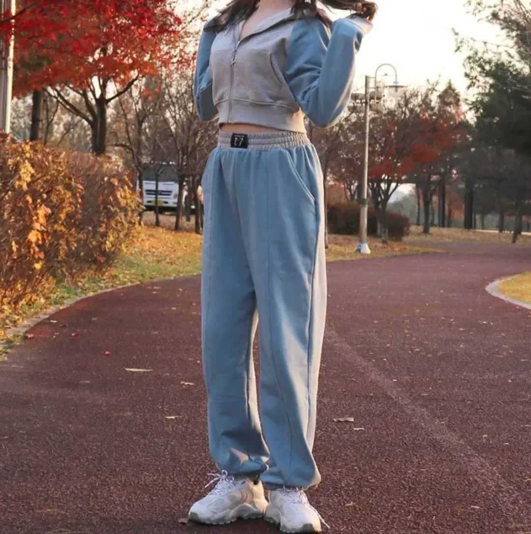 ファンシークラブ フリッター トレーニング セットアップ