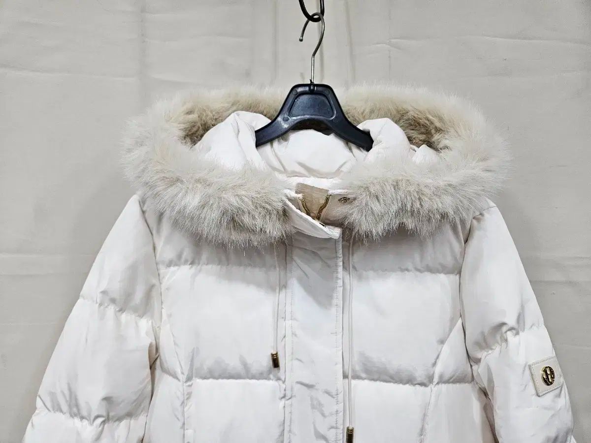 フードジップアップ ダウン