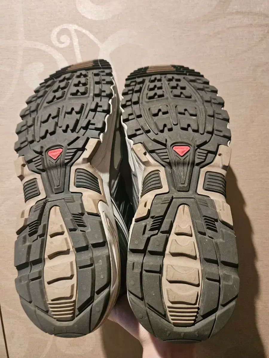 SALOMON acs pro ベルーガ