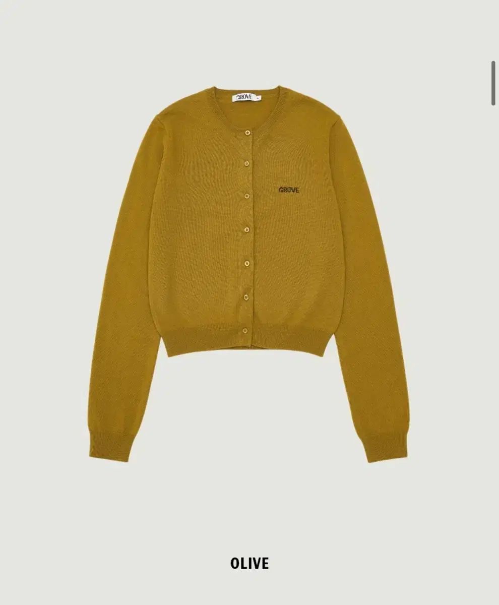 秋 レディースニット