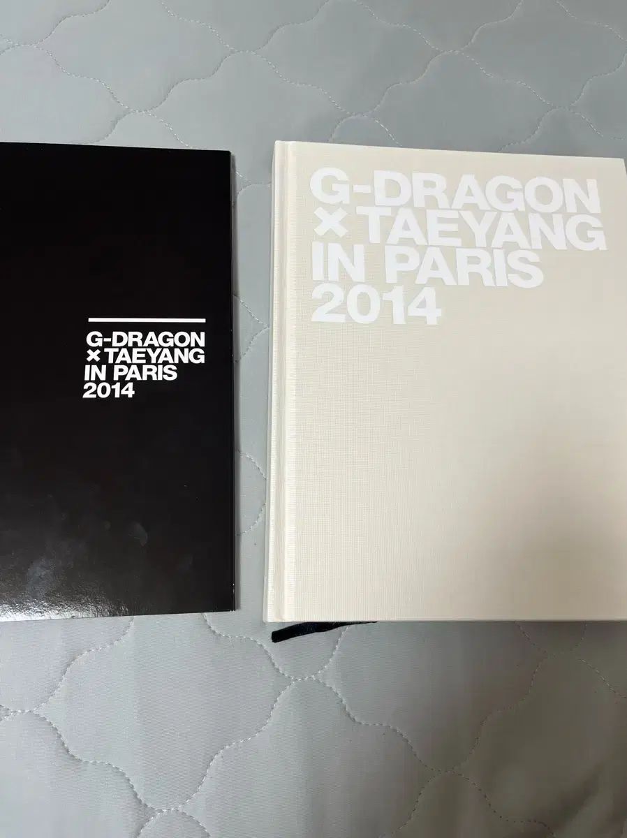 G DRAGON ジードラゴン ユテヤン YOO TAEYANG パリ 写真集 2014