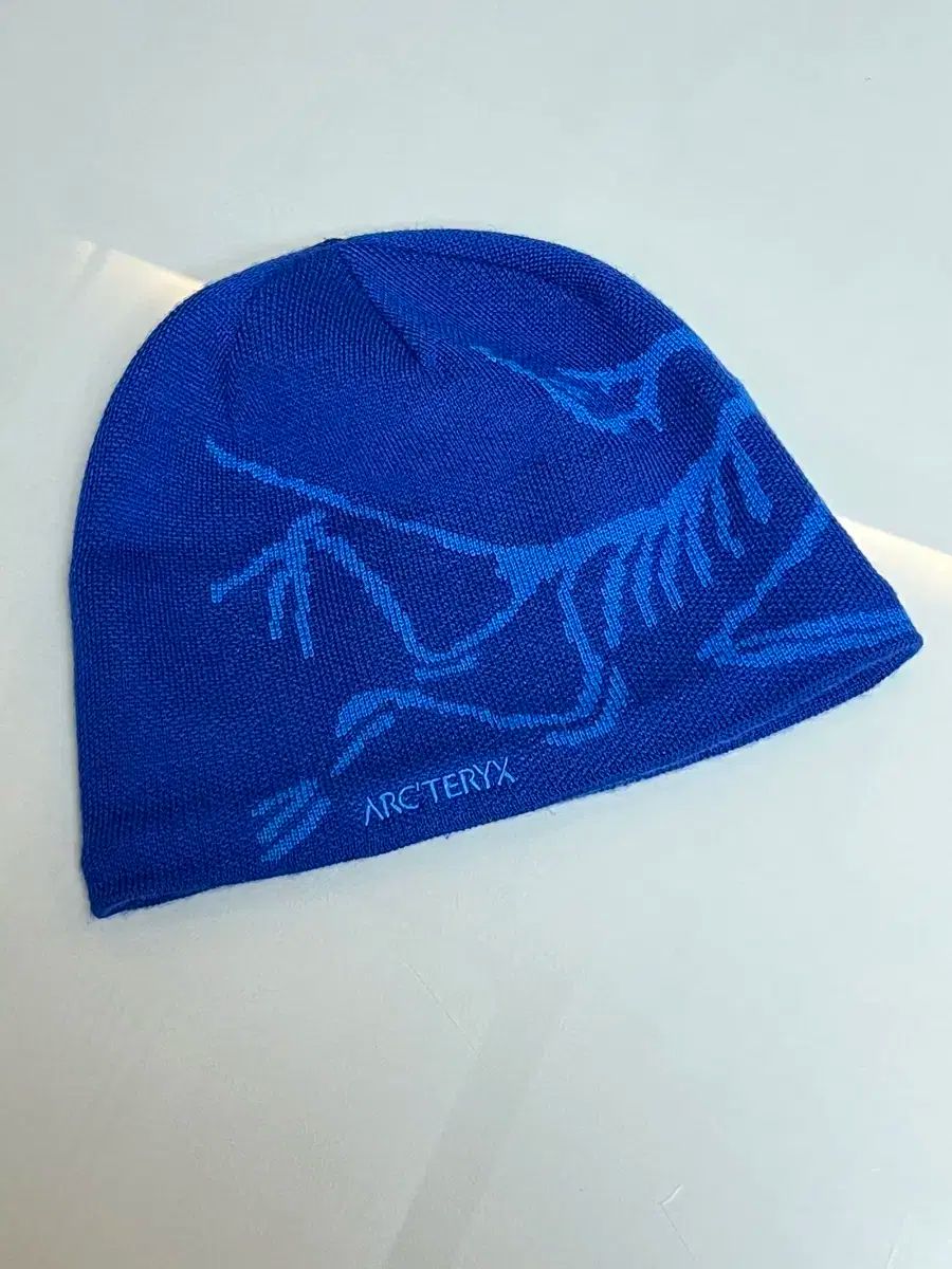 アークテリクス BIRDHEAD トゥー