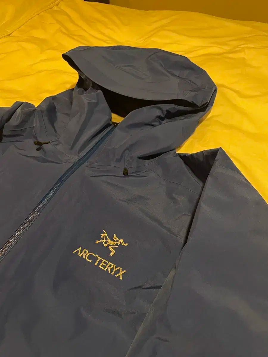 アークテリクス ベータlt