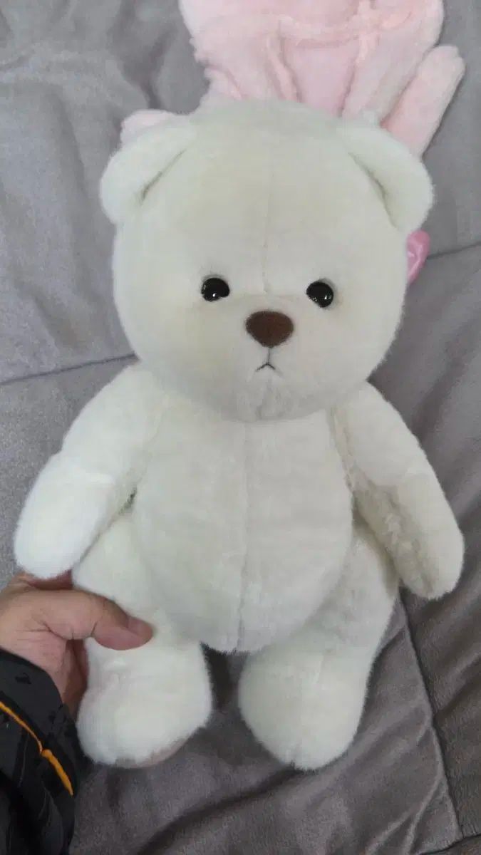 テディディテールズ レナベア 白 M