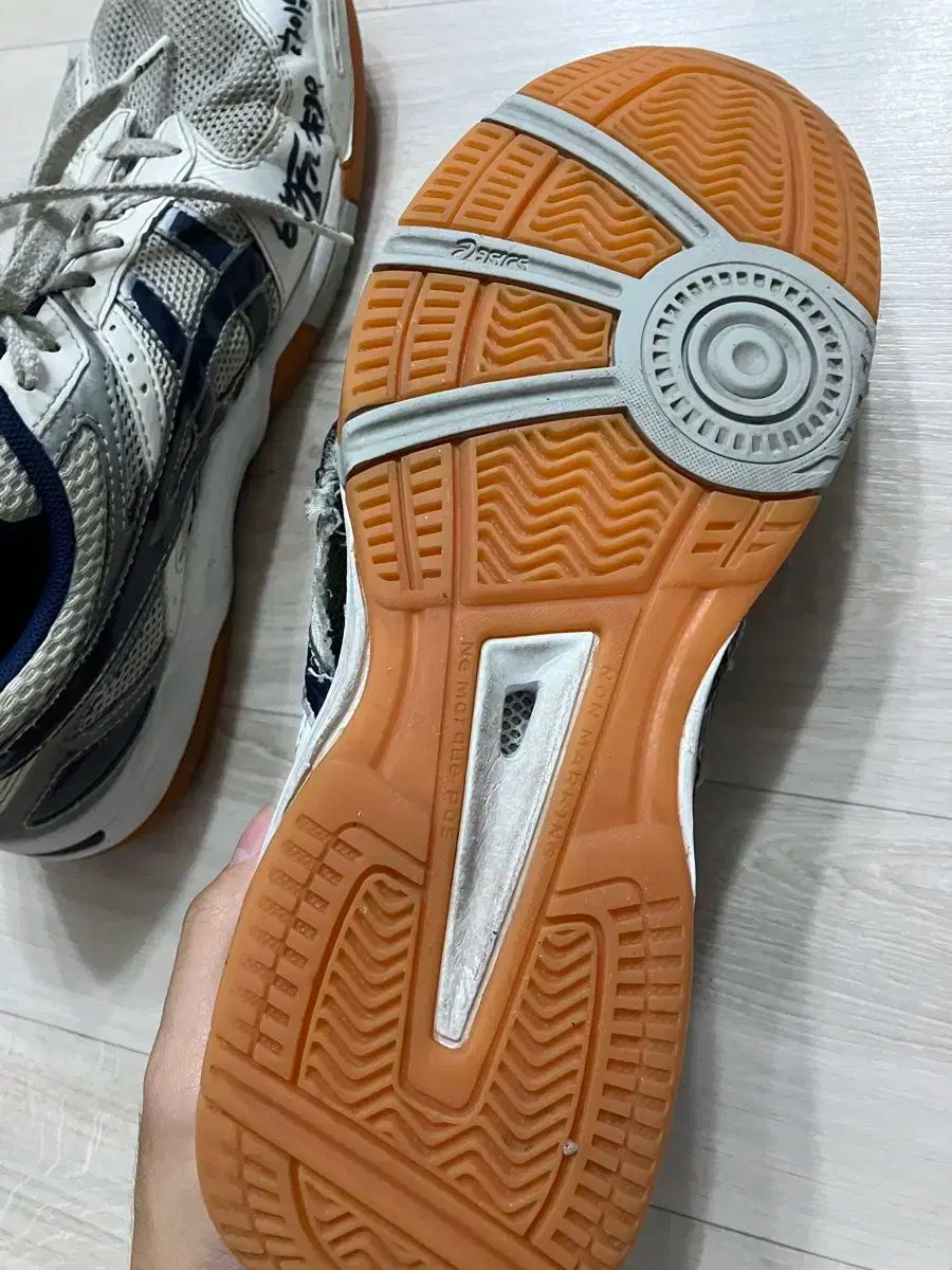 アシックス ローテ リーブレ 270 体大入試 バレーボールシューズ