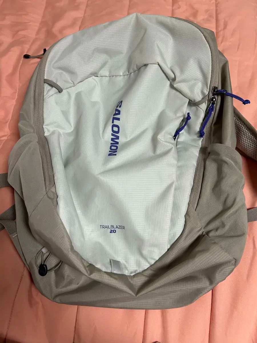 SALOMON サロモン トレイルブレーザー 20 バックパック グレー