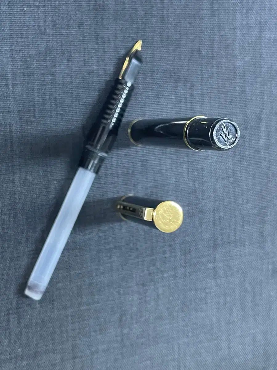  ウォーターマン 万年筆 ロ I 金メッキ スチール Fニブ 語学 辞書 学習参考書 本