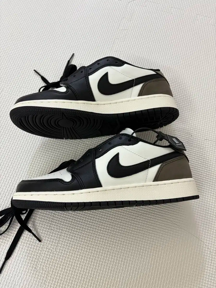 ジョーダン レトロ ロー OG モカ 245 6 5 Y