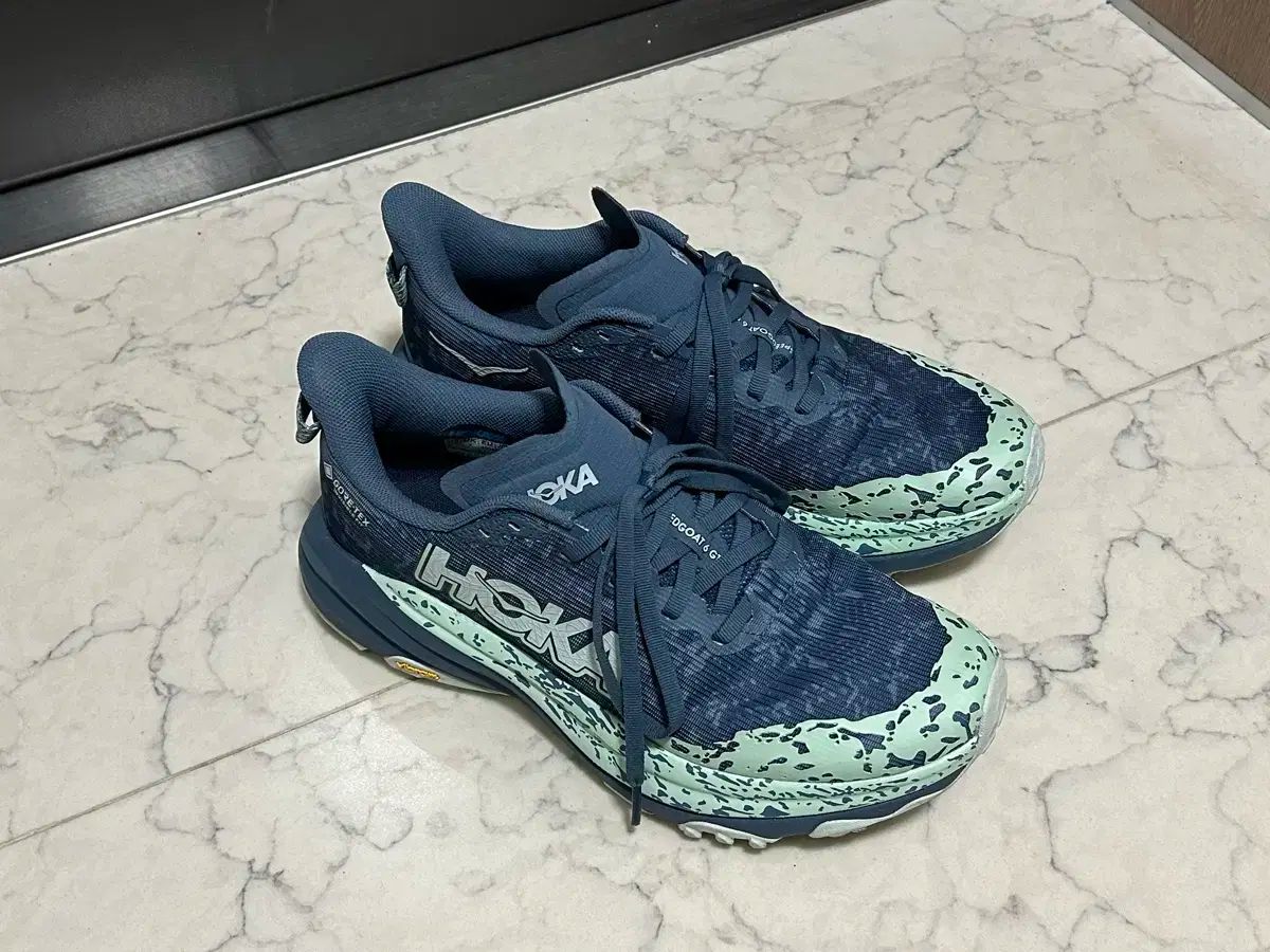 ホカ スピードゴート 6 gtx 255