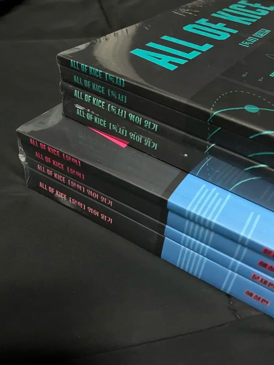 キム スンリ 2026 All Of KICE 文学 読書 商品