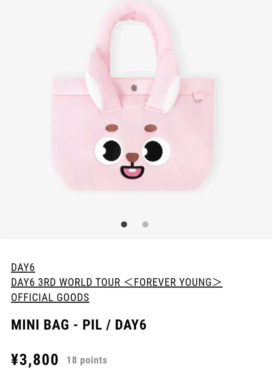 DAY 6 デイシックス ウォンピル WONPIL Pilmography 日本 ミニバック フィ