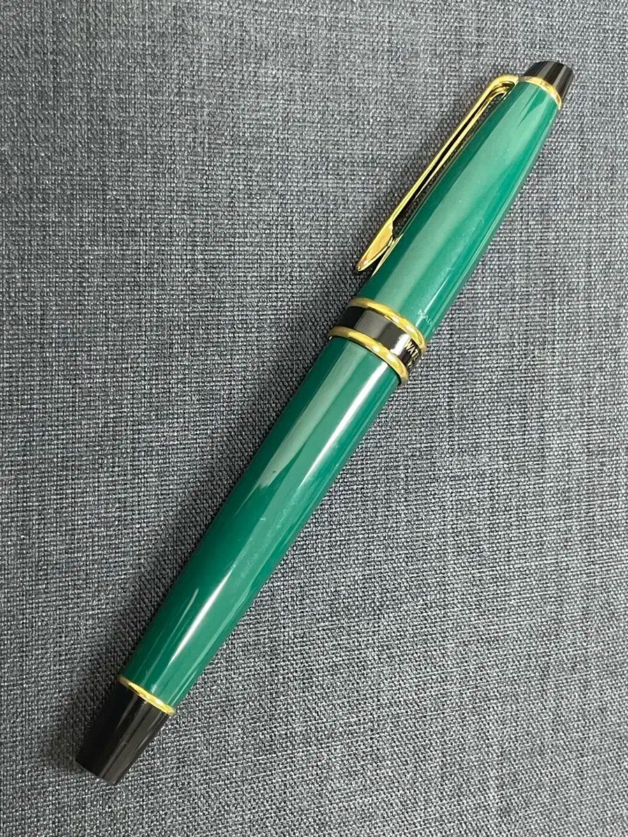 ウォーターマン万年筆エクスパート I スチール Fニブ